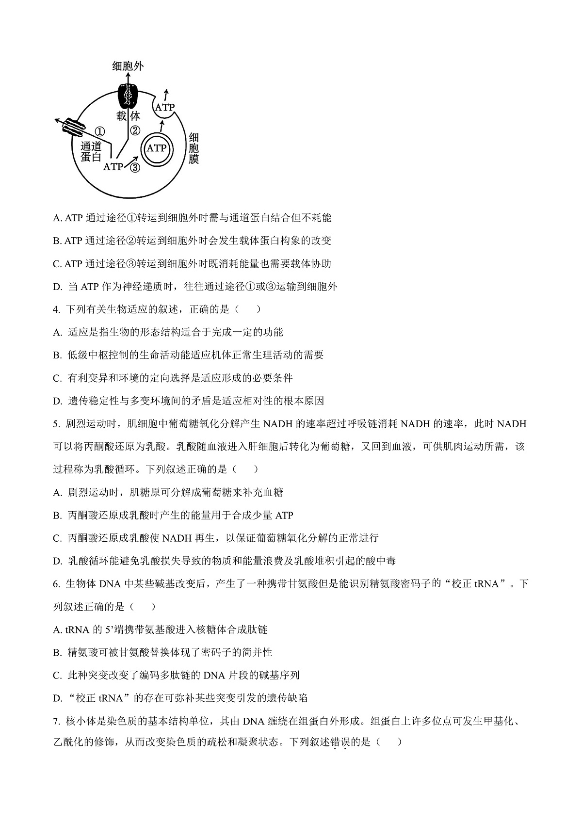 江苏省苏州市2024-2025学年高三上学期1月期末生物试题 Word版无答案第2页