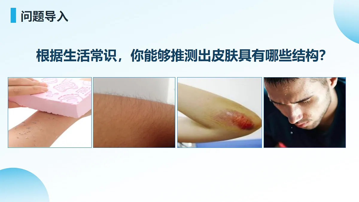 3.2.3 汗液的分泌和排出（新教材课件）-2024-2025学年七年级生物下册（北京版2024）第4页