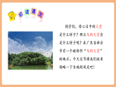 【新課標核心素養(yǎng)】部編版語文五年級上冊22鳥的天堂（第1課時）（課件+教學設(shè)計+音頻+學習任務(wù)單+練習）