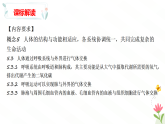 第三章 呼吸系统与气体交换（章末复习课件）-2024-2025学年七年级生物下册（冀少版2024）