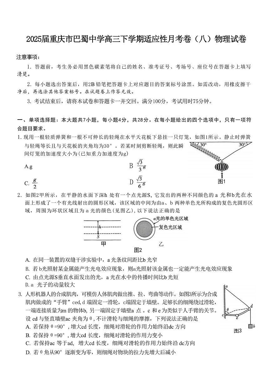2025届重庆市巴蜀中学高三下学期适应性月考卷（八）物理 （解析版）第1页