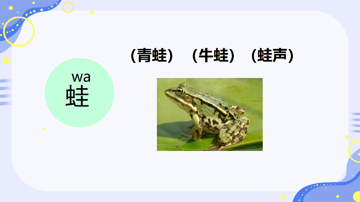 小学语文统编版（2024）二年级下册7.21 青蛙卖泥塘 课件第3页