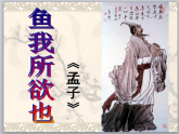 《鱼我所欲也》 课件 部编版语文九年级下册