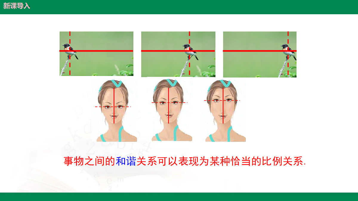 9.6黄金分割（同步课件）2025学年八年级数学下册同步精品课堂（鲁教版）第8页
