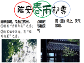 高中語文選擇性必修下古詩詞誦讀《臨安春雨初霽》課件