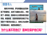 8.6+浮力-2024-2025學(xué)年八年級物理下冊同步課件（北師大版2024）
