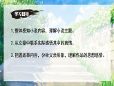 第12課《臺(tái)階》課件七年級(jí)語(yǔ)文下冊(cè)同步（統(tǒng)編版2024）