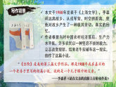 第12課《臺(tái)階》課件七年級(jí)語(yǔ)文下冊(cè)同步（統(tǒng)編版2024）