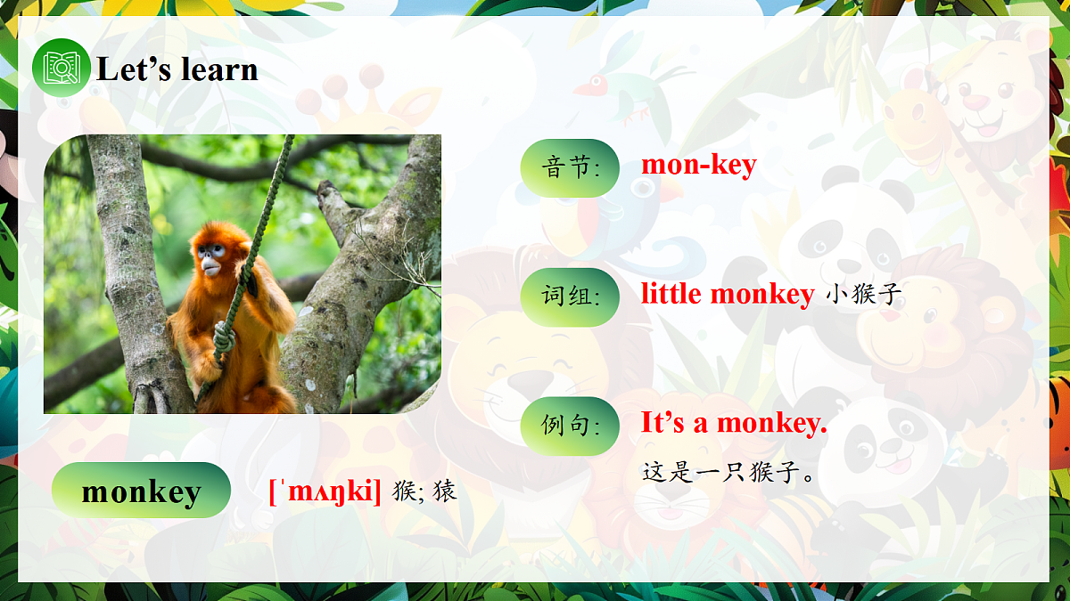 Unit 3 课时 5 Part B Let’s learn & Listen and chant第7页