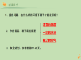 2024-2025学年人教版生物七年级下册 3.1.1 种子的萌发 (2) 课件