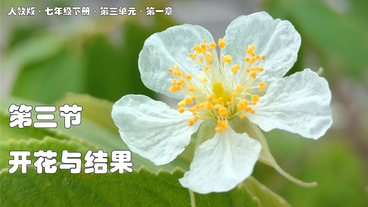 16986769第1页