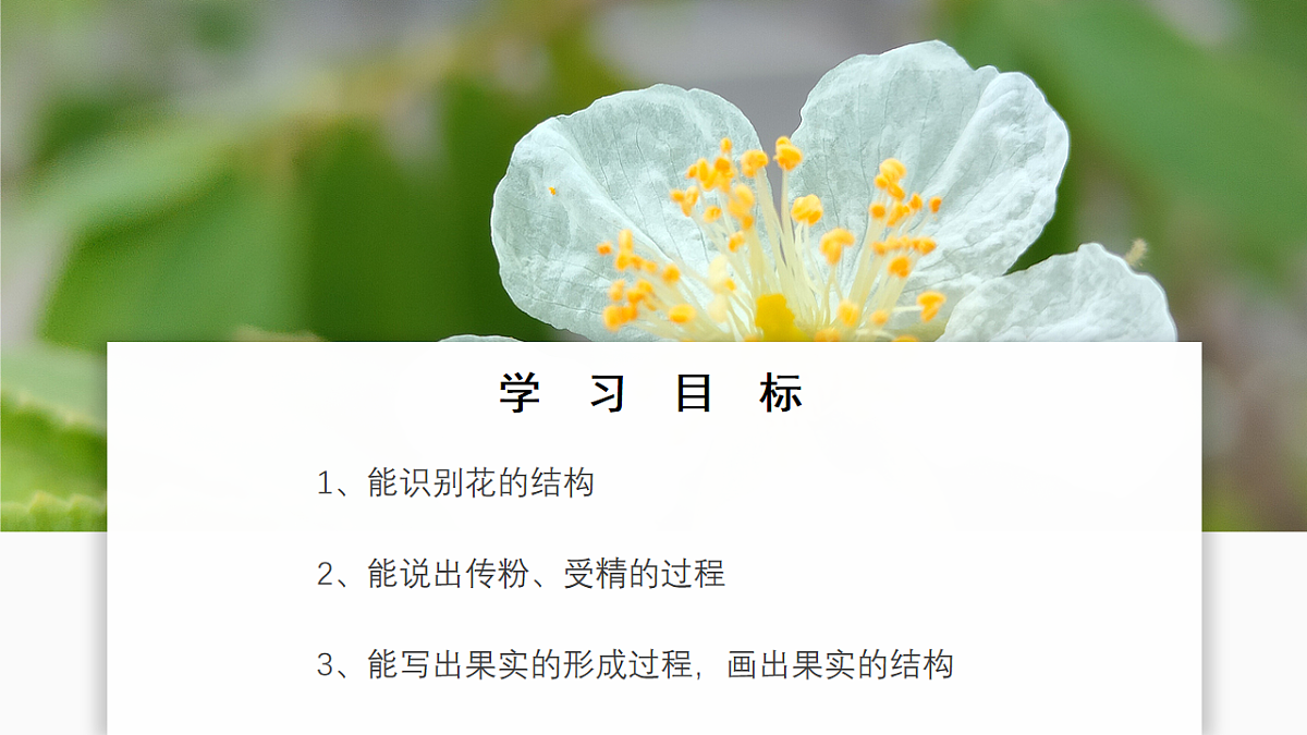 16986769第2页