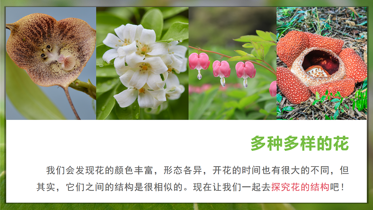 16986769第4页