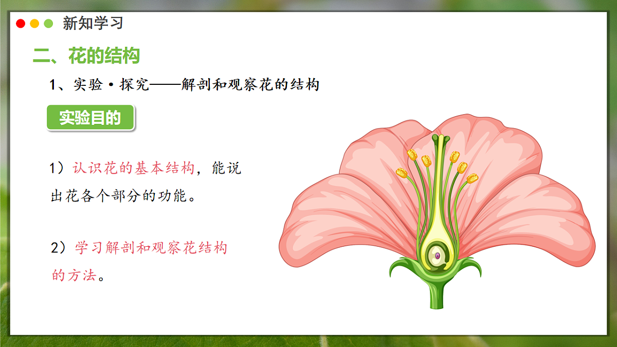 16986769第5页