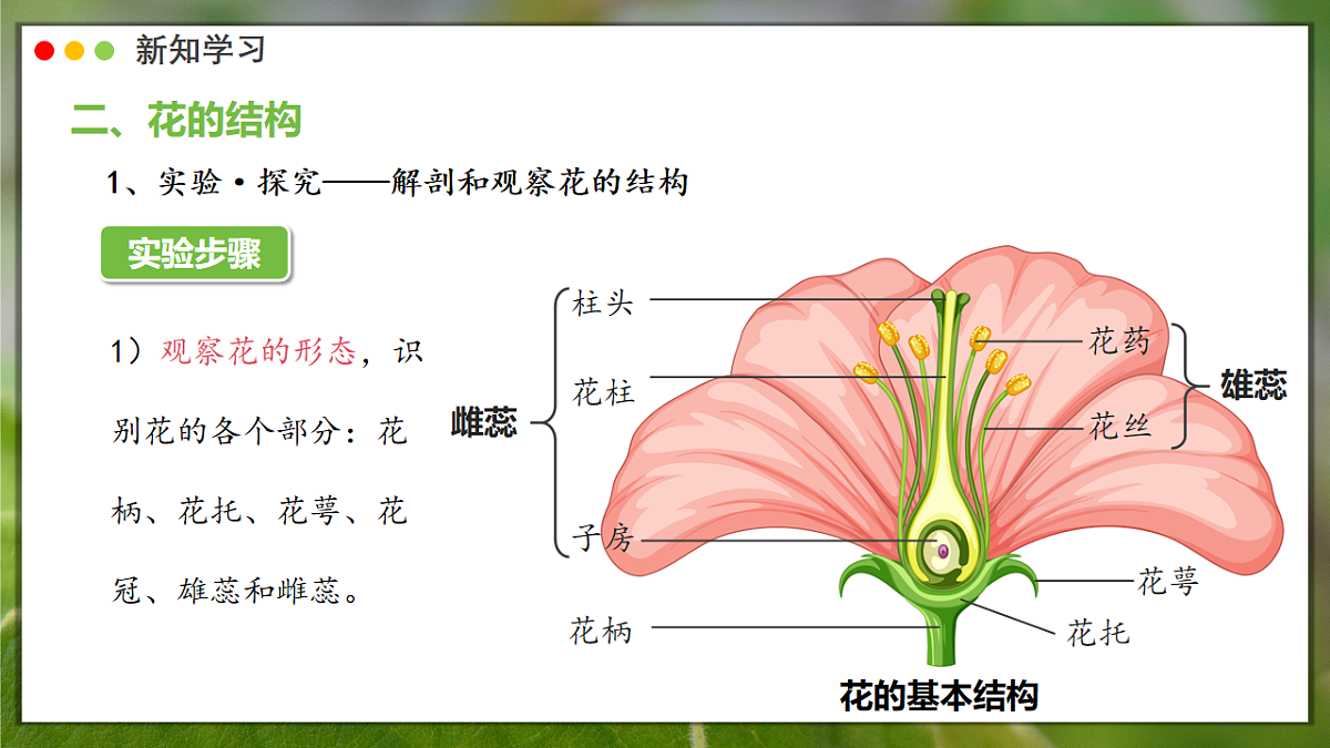 16986769第6页