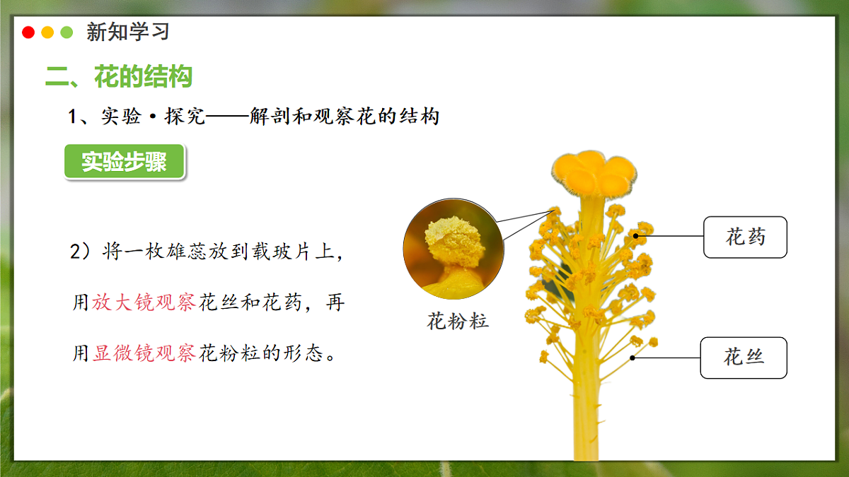 16986769第7页