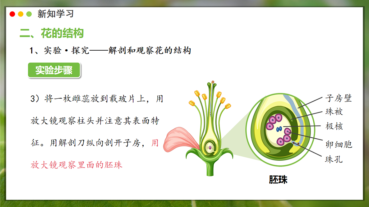 16986769第8页
