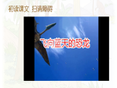 统编版四年级语文下册教学课件《6 飞向蓝天的恐龙》