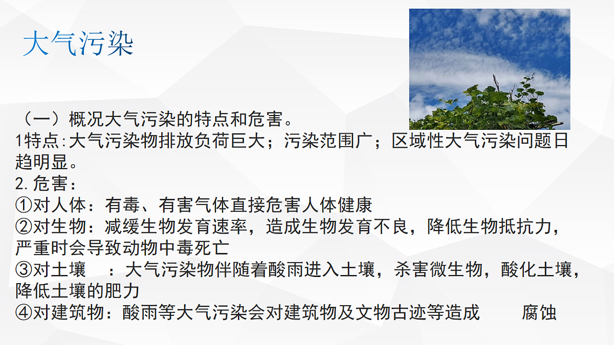 16986901第7页