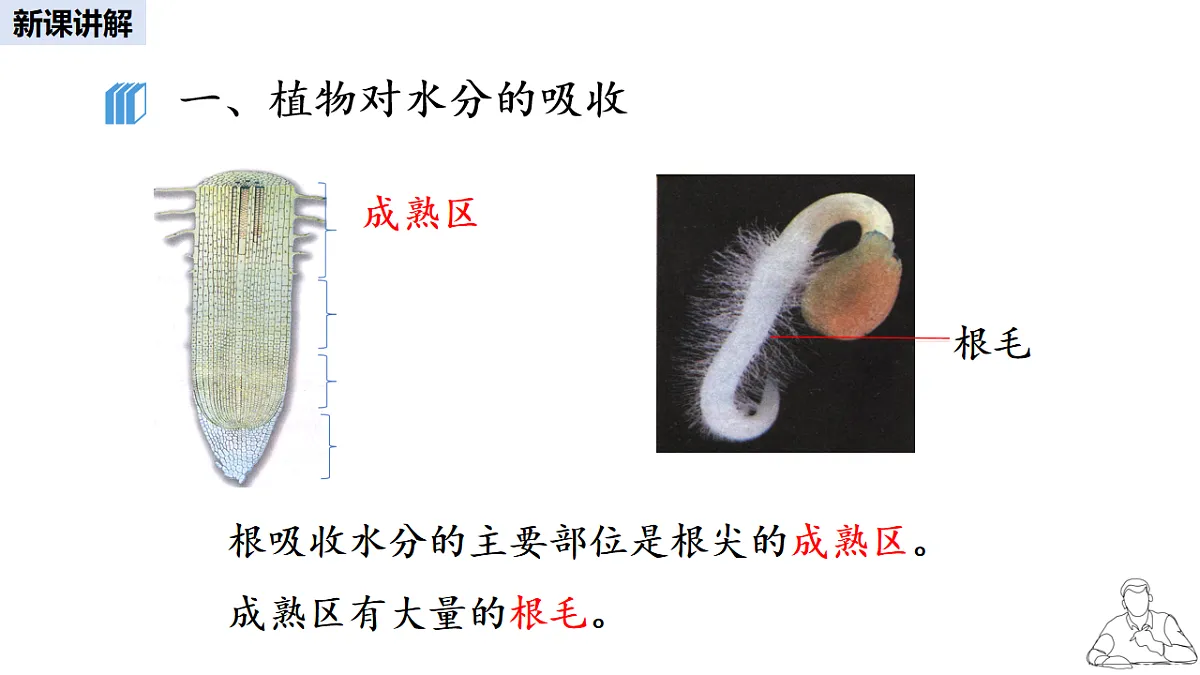 16986912第3页