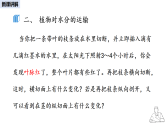 2024-2025學(xué)年人教版生物七年級下冊 3.2.1 水分的利用和散失課件