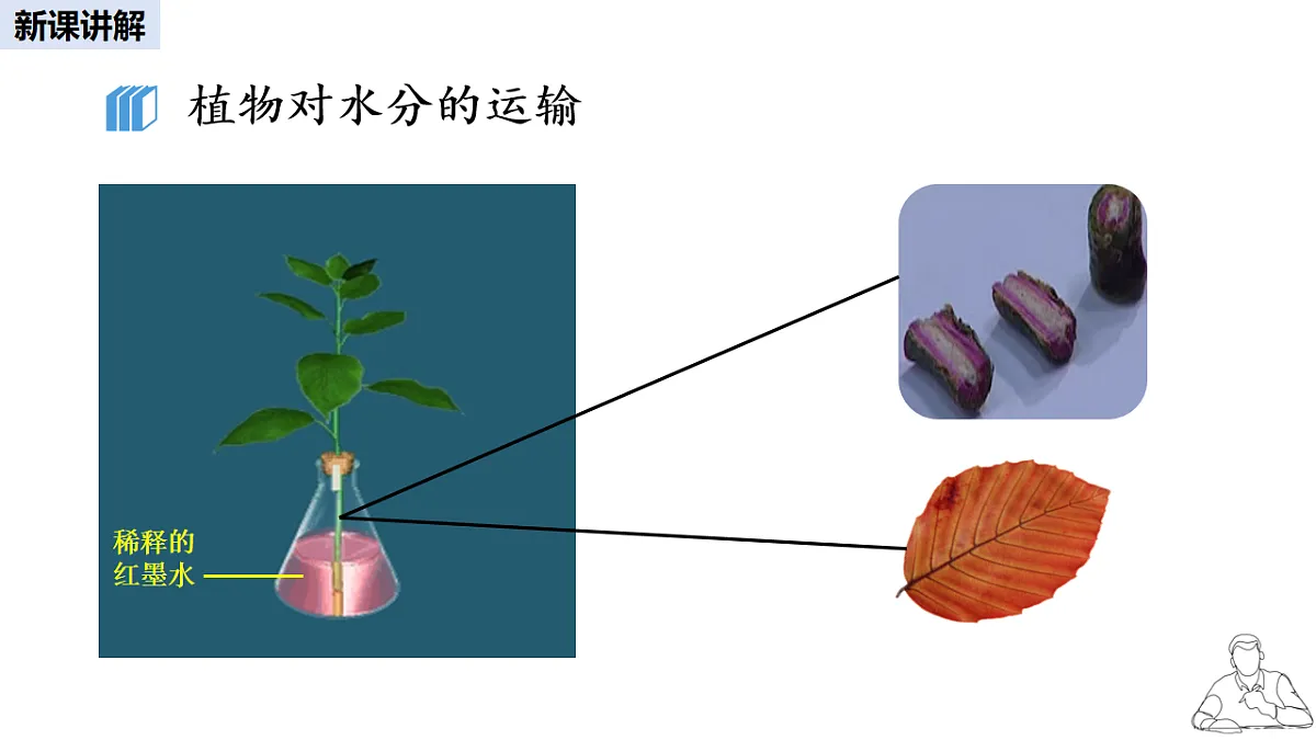 16986912第6页