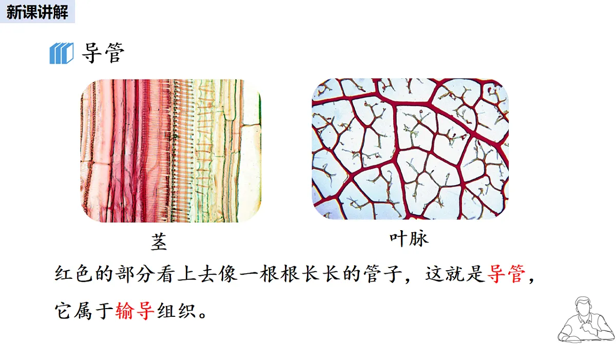 16986912第7页