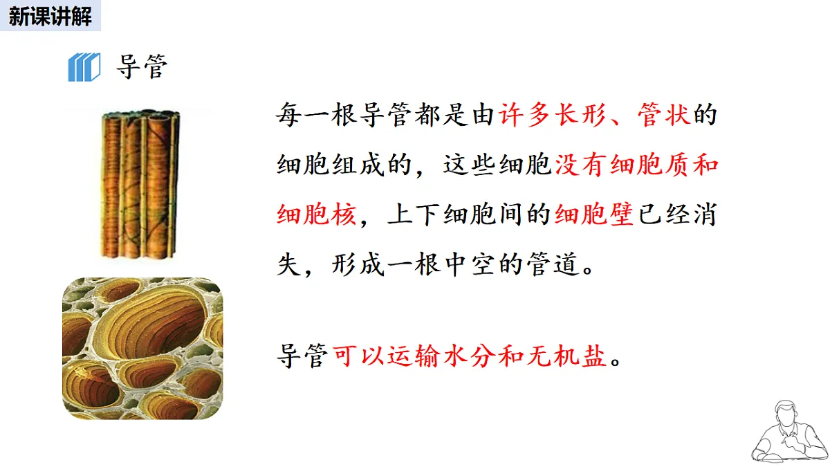16986912第8页