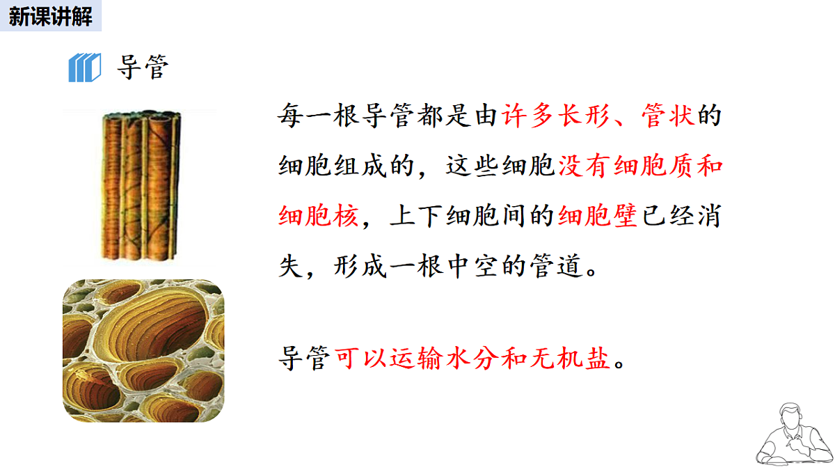16986912第8页