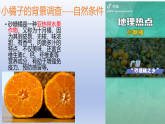 高中地理湘教版（2019）必修二3.1農(nóng)業(yè)區(qū)位因素課件
