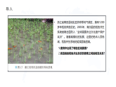 人教版高中地理選擇性必修2  1-2區(qū)域的整體性和關聯(lián)性課件