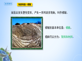 人教版高中地理選擇性必修1 2-2《地質(zhì)構(gòu)造與地貌》課件