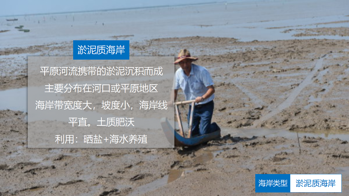 人教版高中地理 选择性必修1 4-3课件-海岸的类型与开发第8页