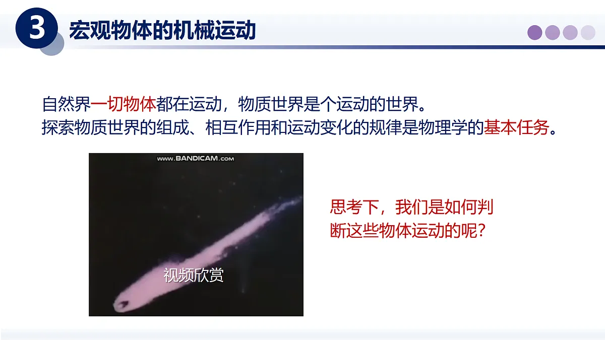 （教科版2024）初中物理八年级上册 2.1认识运动 课件第5页