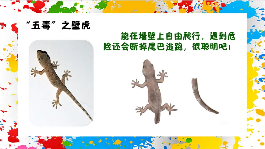 苏少版美术一年级下册《五毒祈吉祥》（课件）第4页
