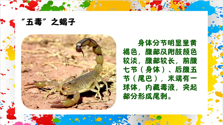 苏少版美术一年级下册《五毒祈吉祥》（课件）第5页