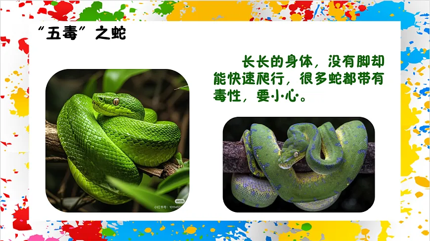 苏少版美术一年级下册《五毒祈吉祥》（课件）第6页
