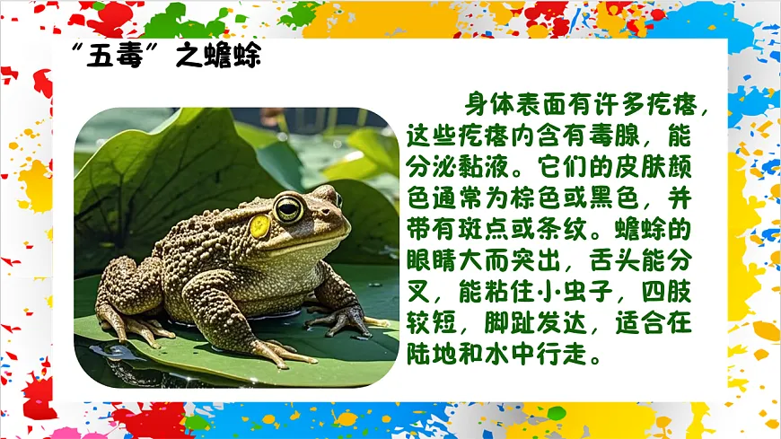 苏少版美术一年级下册《五毒祈吉祥》（课件）第7页