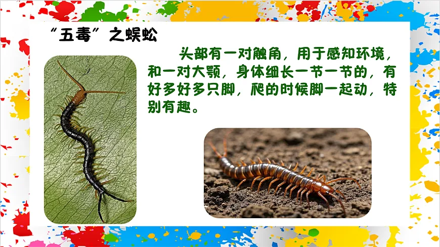 苏少版美术一年级下册《五毒祈吉祥》（课件）第8页