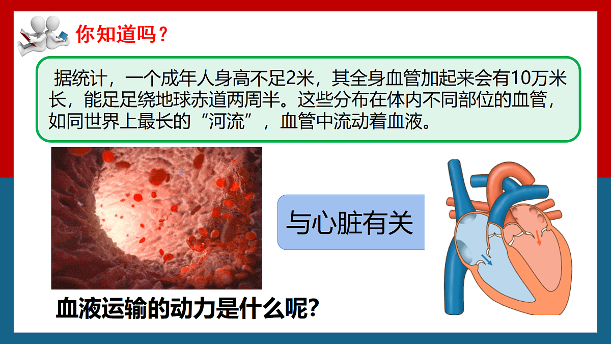 4.4.3输送血液的泵——心脏+课件-2024--2025学年人教版七年级生物下册第1页