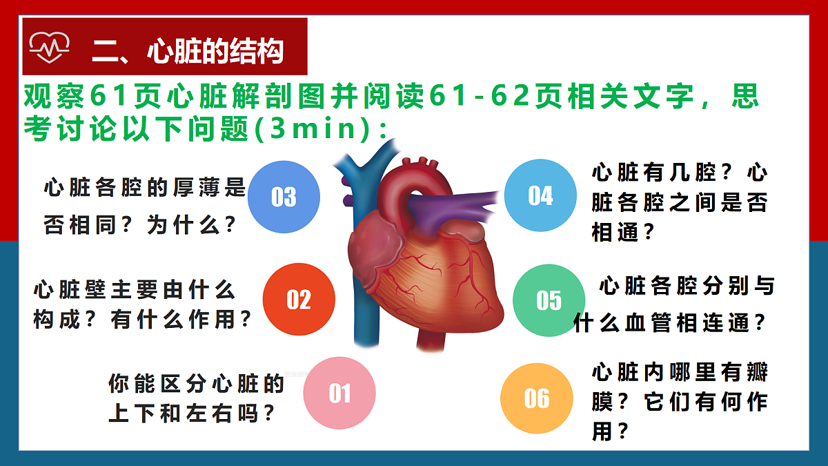 4.4.3输送血液的泵——心脏+课件-2024--2025学年人教版七年级生物下册第5页