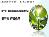 3.2.3++呼吸作用++课件-2024-2025学年人教版生物七年级下册