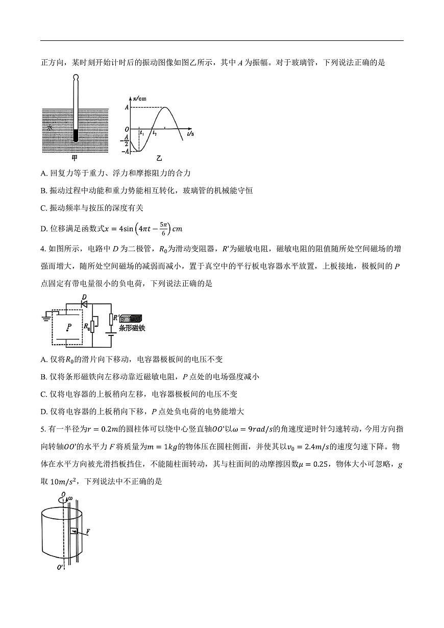 2025届湖南省常德一中等佩佩教育高三下学期猜题卷物理试题（5月）（解析版）第2页