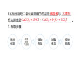 實(shí)驗(yàn)活動3 二氧化碳的實(shí)驗(yàn)室制取與性質(zhì)（同步課件）-【大單元教學(xué)】2024-2025學(xué)年九年級化學(xué)上冊同步備課系列（人教版2024）
