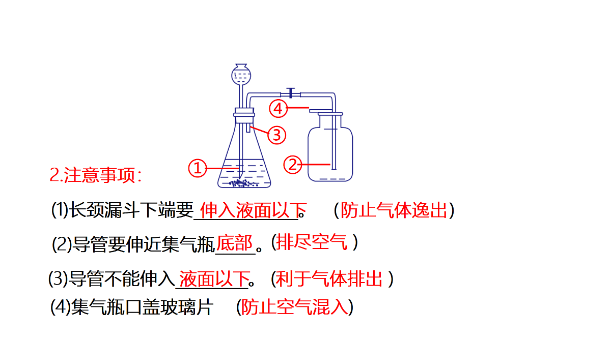 实验活动3 二氧化碳的实验室制取与性质（同步课件）-【大单元教学】2024-2025学年九年级化学上册同步备课系列（人教版2024）第7页