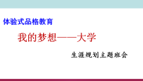 我的梦想——大学 课件--2024-2025学年高三下学期生涯规划主题班会
