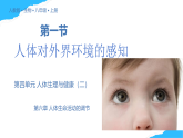 【核心素養(yǎng)】人教版初中生物八年級上冊4.6.1《人體對外界的感知》課件＋課時練習＋教案（含教學反思）