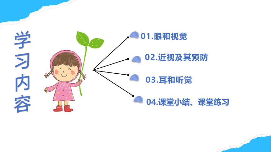 【核心素养】人教版初中生物八年级上册4.6.1《人体对外界的感知》课件第4页
