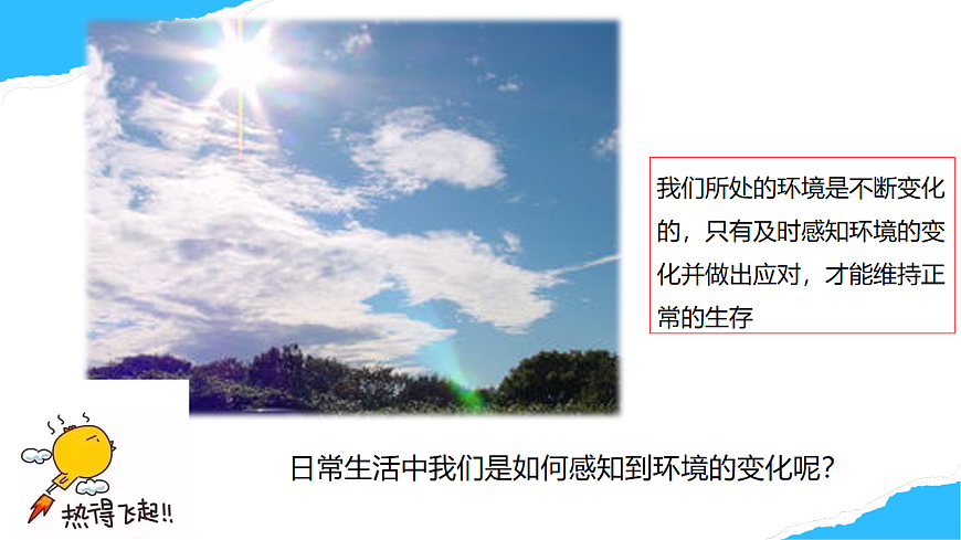 【核心素养】人教版初中生物八年级上册4.6.1《人体对外界的感知》课件第6页