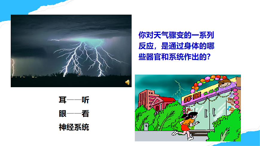 【核心素养】人教版初中生物八年级上册4.6.1《人体对外界的感知》课件第7页